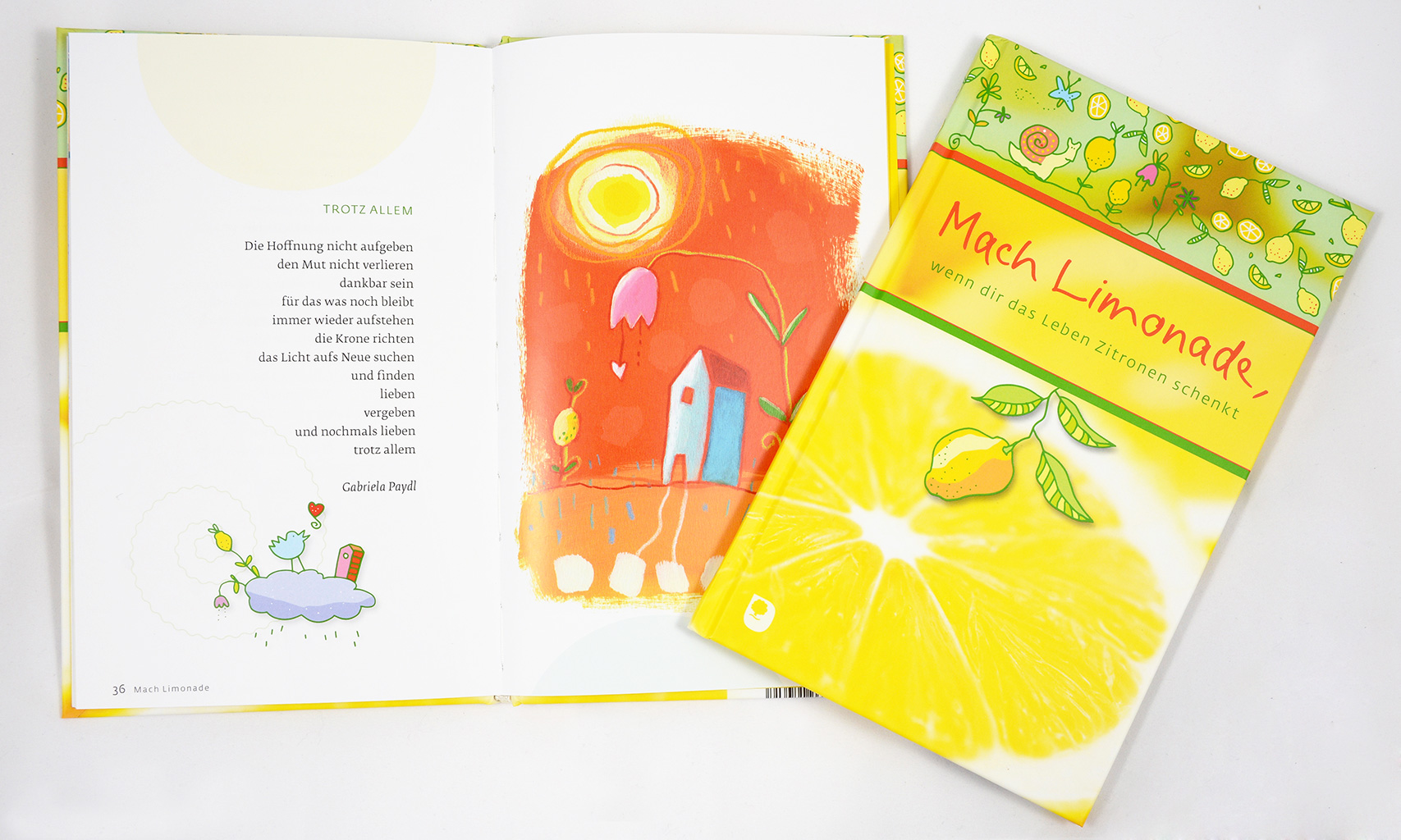 Mach Limonade, wenn dir das Leben Zitronen schenkt | Verlag am Eschbach